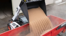 Телескопический погрузчик для сельского хозяйства Bobcat TL43.80HF+AGRI разгружает зерно в самосвал.
