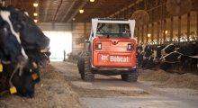 Колесный мини погрузчик Bobcat S590 вид сзади