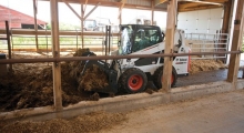 Колесный мини погрузчик Bobcat S590 в сельском хозяйстве